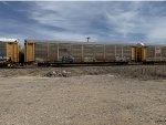 TTGX 971929